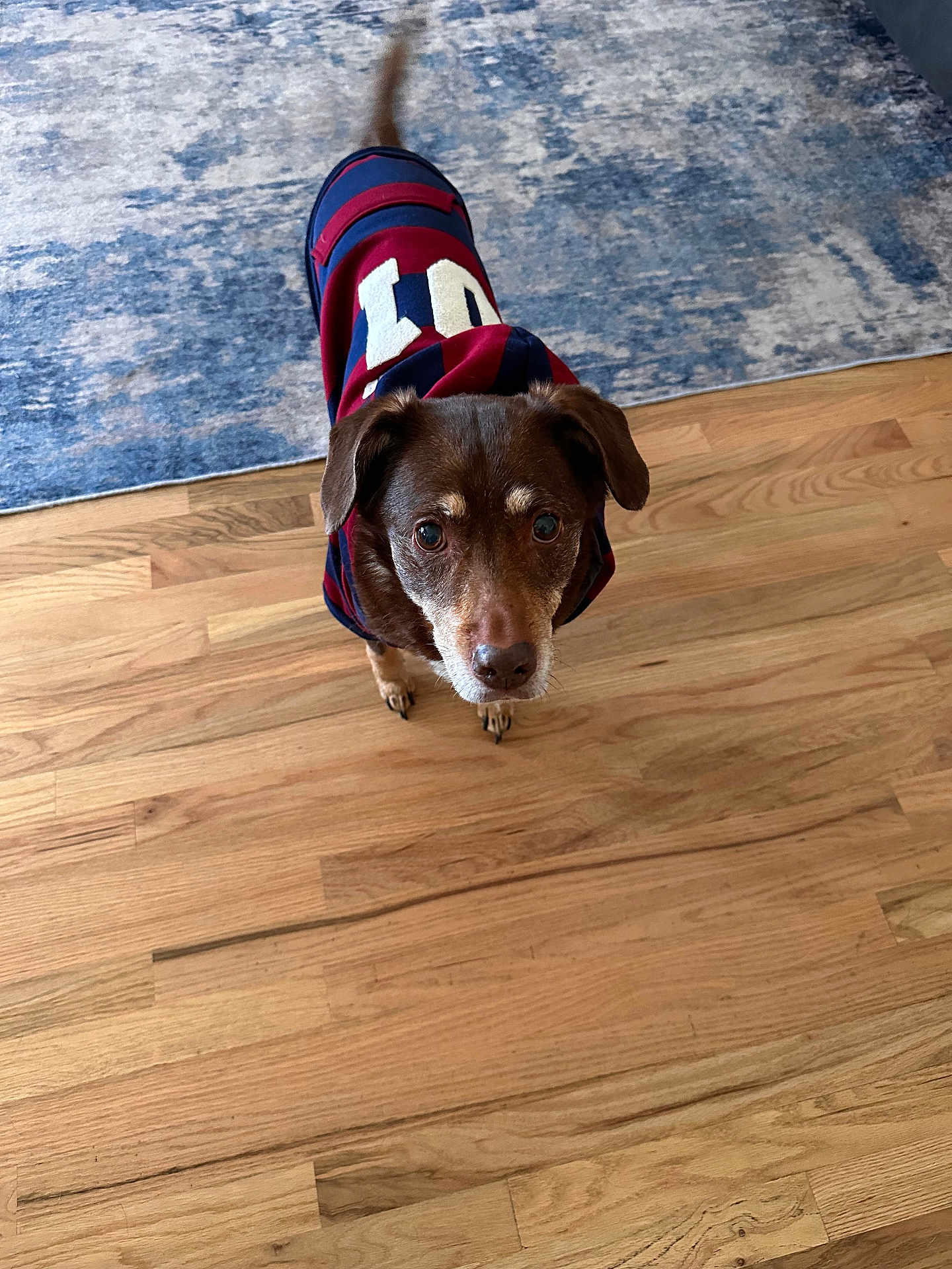 Coco Chanel