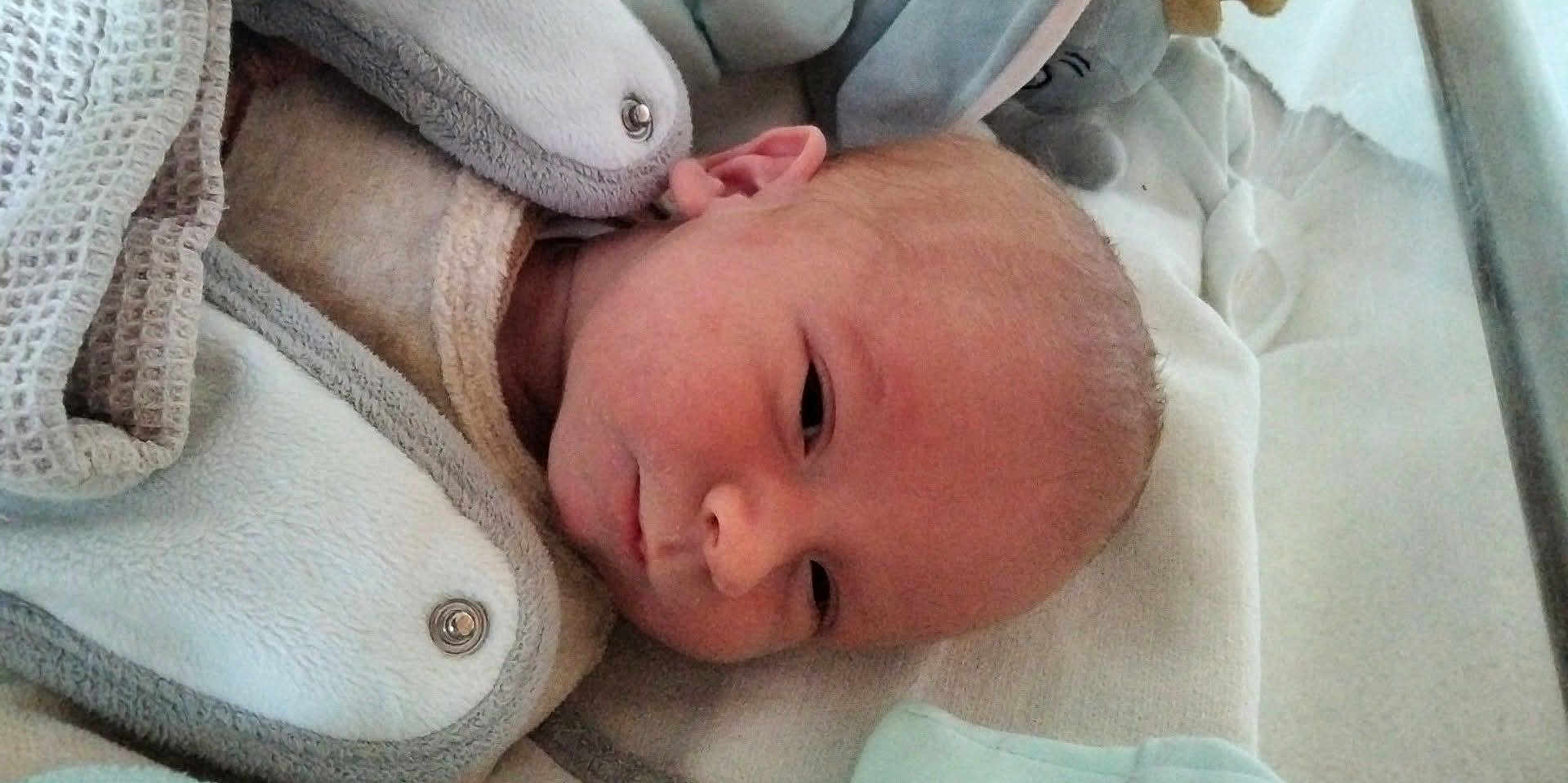 Milan participe au concours pour gagner de l'argent avec cette photo : newborn, baby, infant, face, cheek, ear, blanket, swaddle, plush_toy, elephant_toy, bedding, crib, closeup, portrait, sleepy, skin, newborn_clothing, button, fabric, bassinet