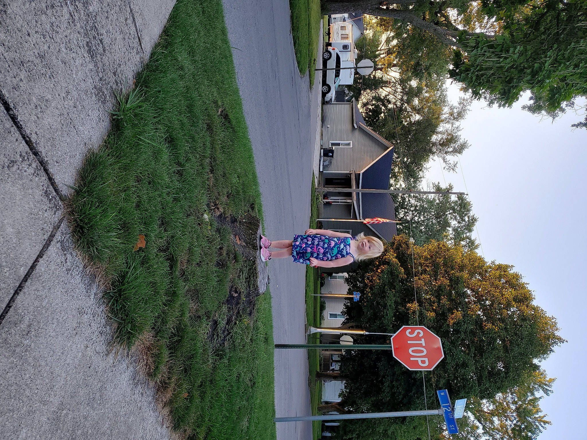 Kinley joined the competition — help win amazing prizes! asphalt, biome, building, city, flag, groundcover, landscape, person, plant, pole, public_utility, road, road_surface, shrub, sidewalk, sky, slope, street_light, traffic_sign, tree