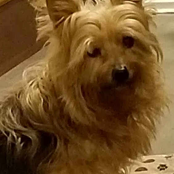 Danny