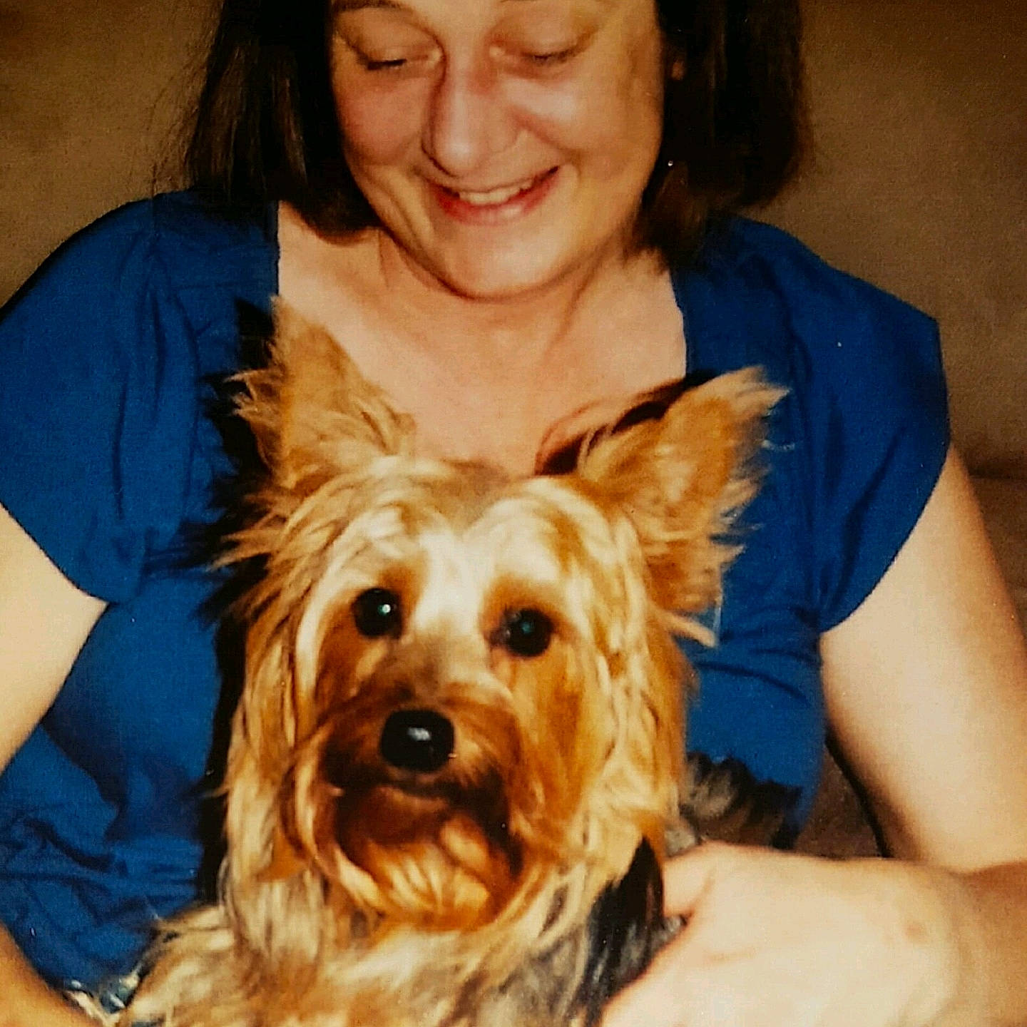 Danny joined the competition — help win amazing prizes! blond, carnivore, companion_dog, dog, dog_breed, ear, fawn, fur, liver, organ, puppy_love, small_terrier, smile, snout, sporting_group, surfer_hair, t_shirt, terrier, toy_dog, working_animal