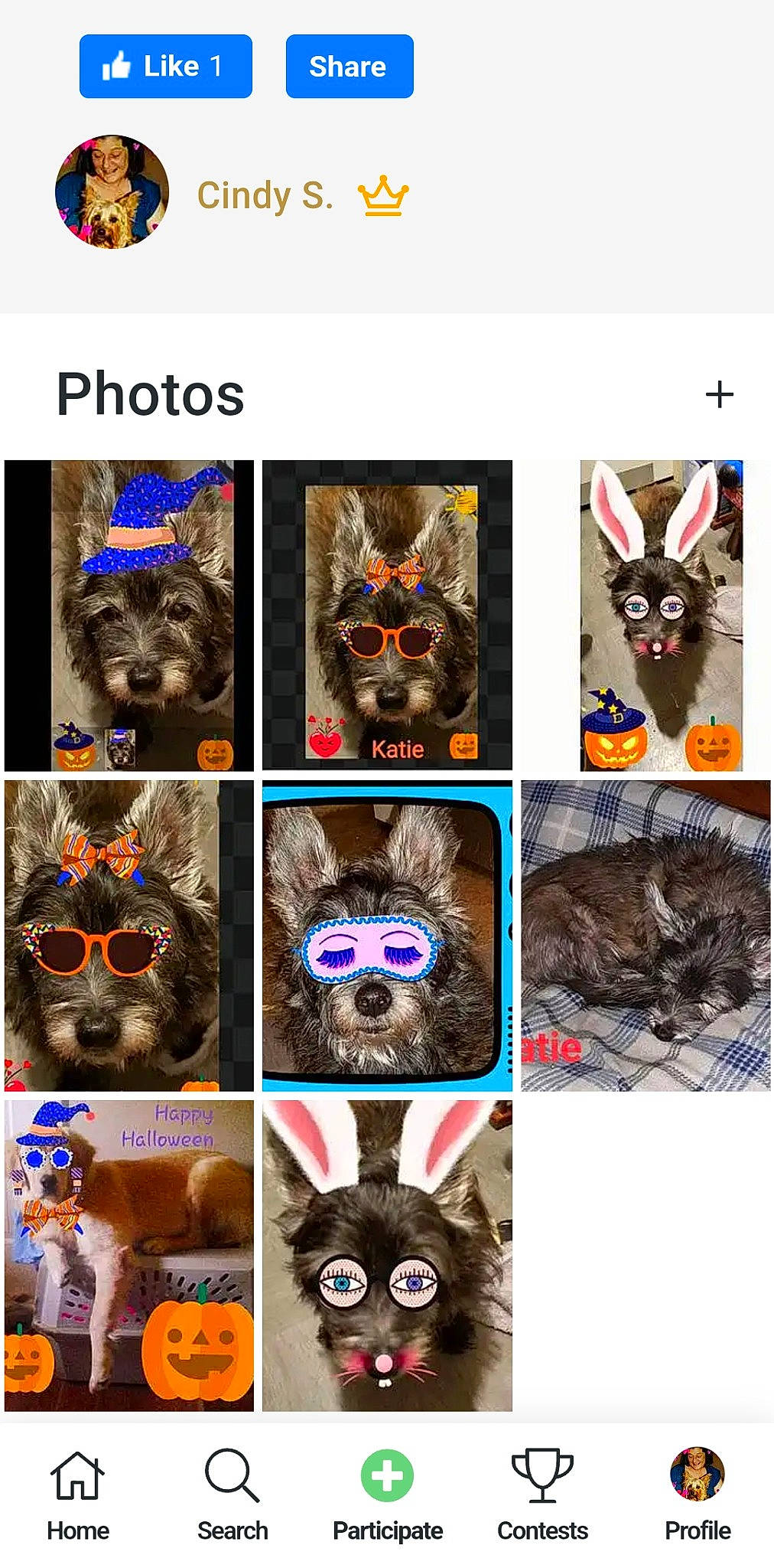 Smoke is registered to the contest to win money with this photo: art, carnivore, cat, collage, dog, fashion_accessory, felidae, fictional_character, font, fur, mammal, organism, pattern, photo_caption, photograph, product, screenshot, sleeve, vertebrate, working_animal