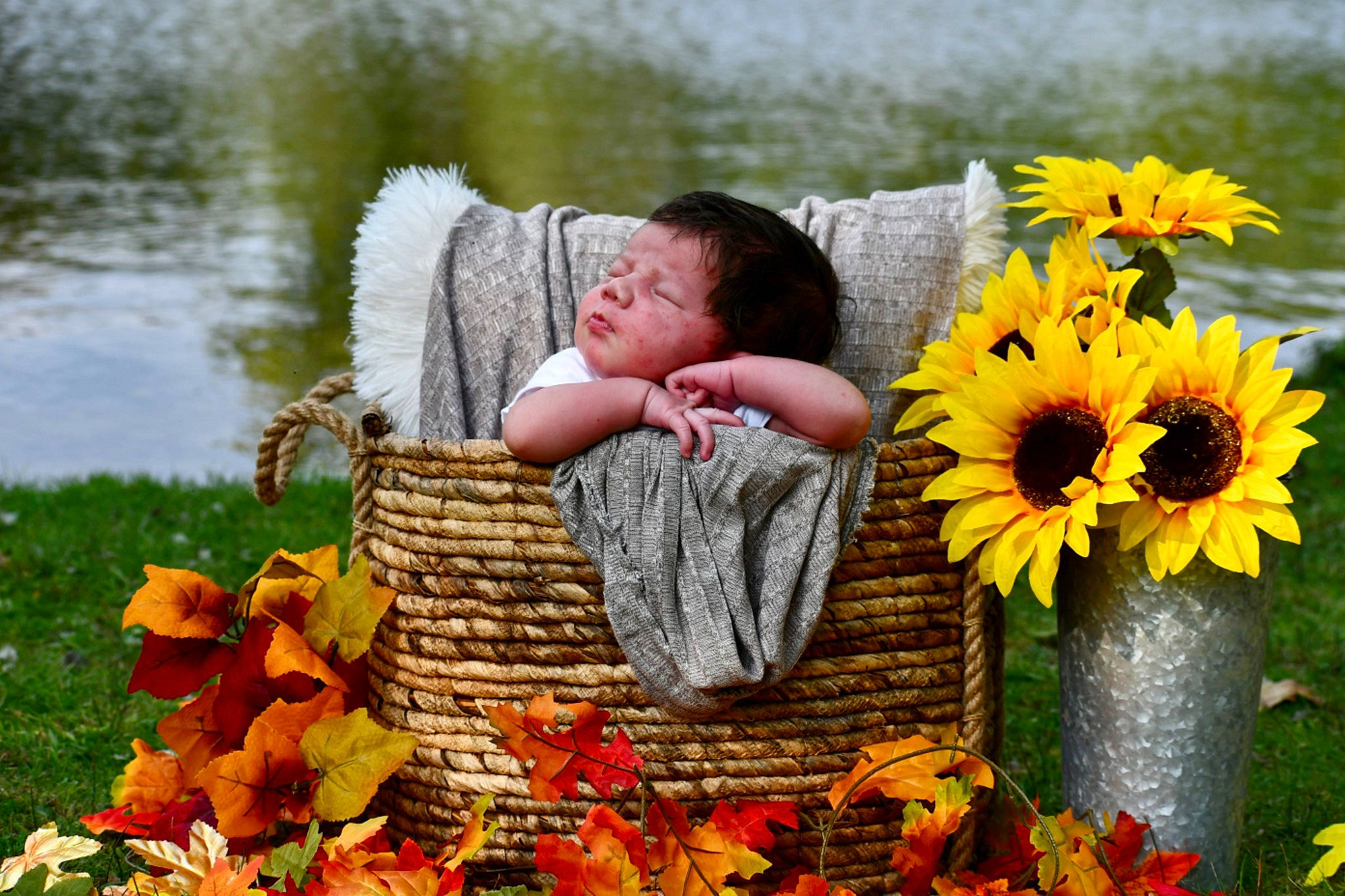 Eduardo Saavedra joined the competition — help win amazing prizes! annual_plant, baby, eye, flower, flowerpot, grass, happy, lake, landscape, leaf, leisure, nature, orange, people_in_nature, person, petal, plant, toddler, water, wood