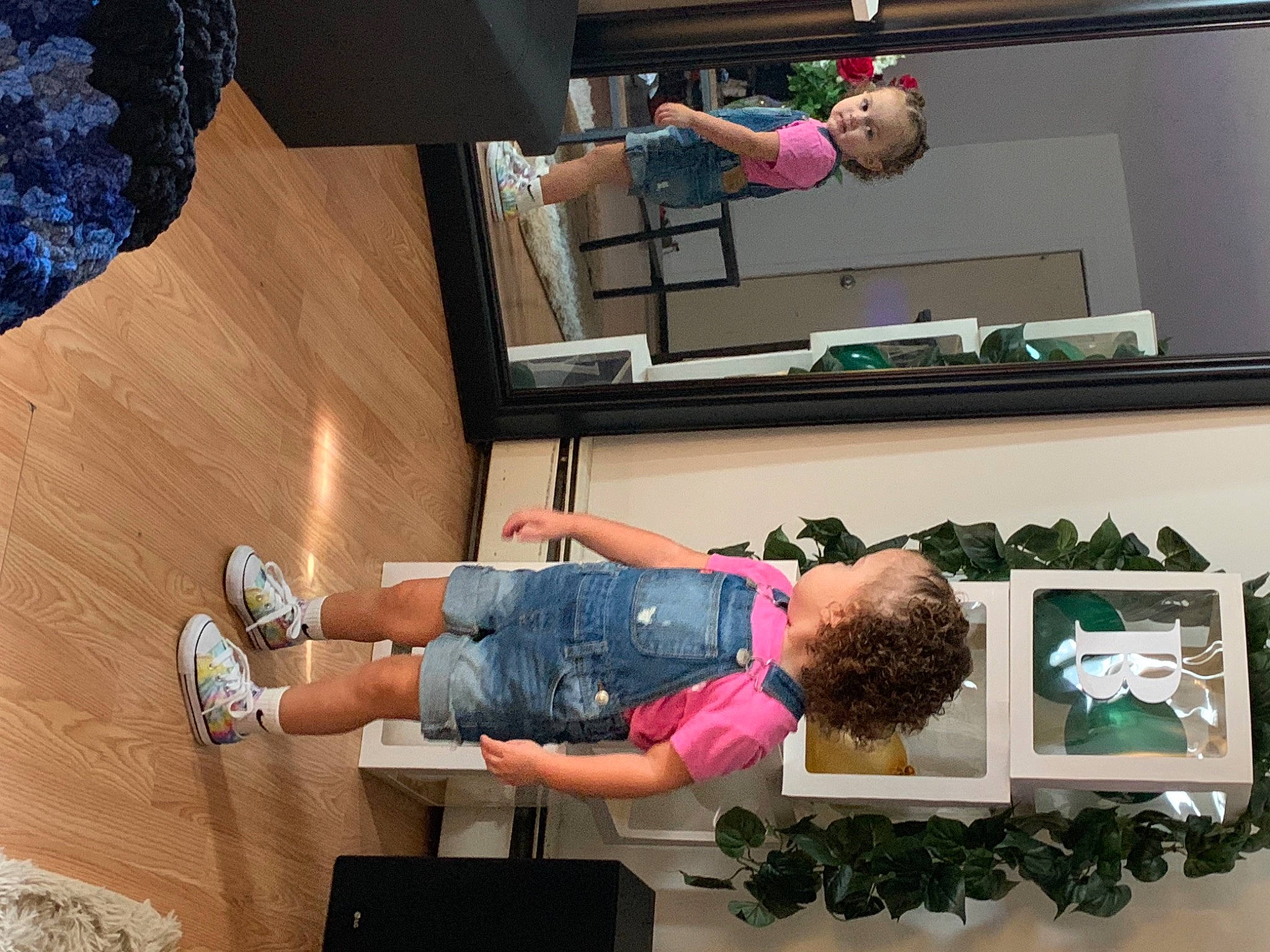 Amina is registered to the contest to win money with this photo: arm, balance, child, fashion, fun, green, house, houseplant, joint, leg, leisure, person, photograph, room, shelf, shelving, shorts, snapshot, sneakers, t_shirt