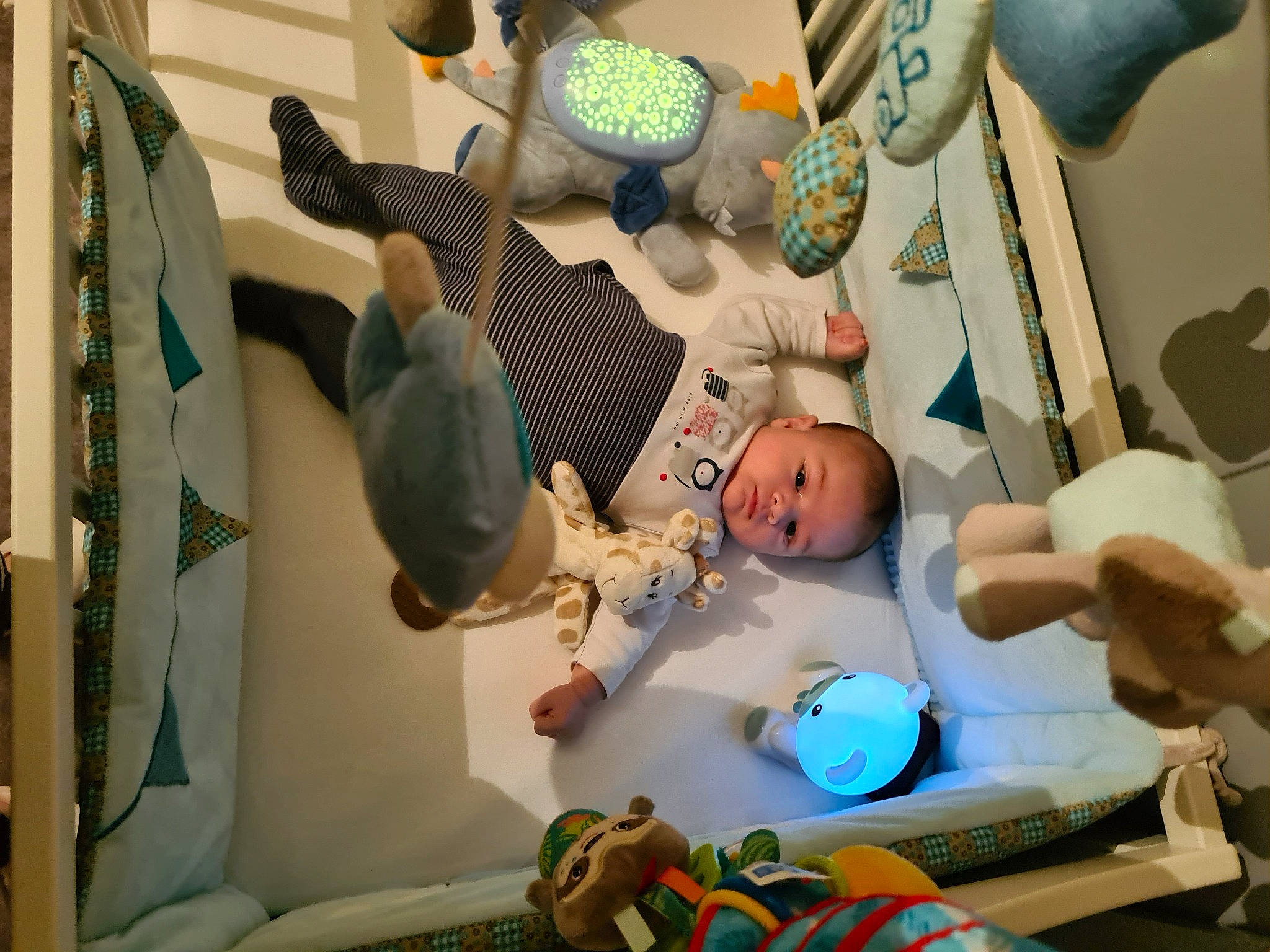 Jibril a rejoint le concours — aidez-le/la à gagner de superbes lots ! art, baby, baby_products, baby_toys, child, comfort, event, green, health_care, hospital, leisure, medical, medical_equipment, medical_procedure, patient, person, room, service, stuffed_toy, toddler