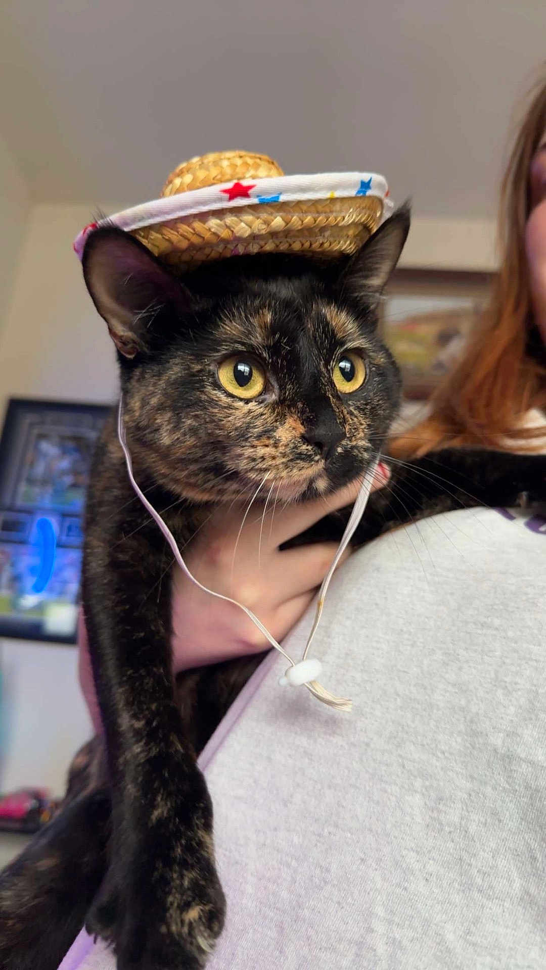 Auto joined the competition — help win amazing prizes! animal, cat, close_up, costume, curious, cute, domestic_animal, face, feline, hand, hat, holding, indoor, person, pet, straw_hat, tortoiseshell_cat, whiskers, yellow_eyes, young_cat