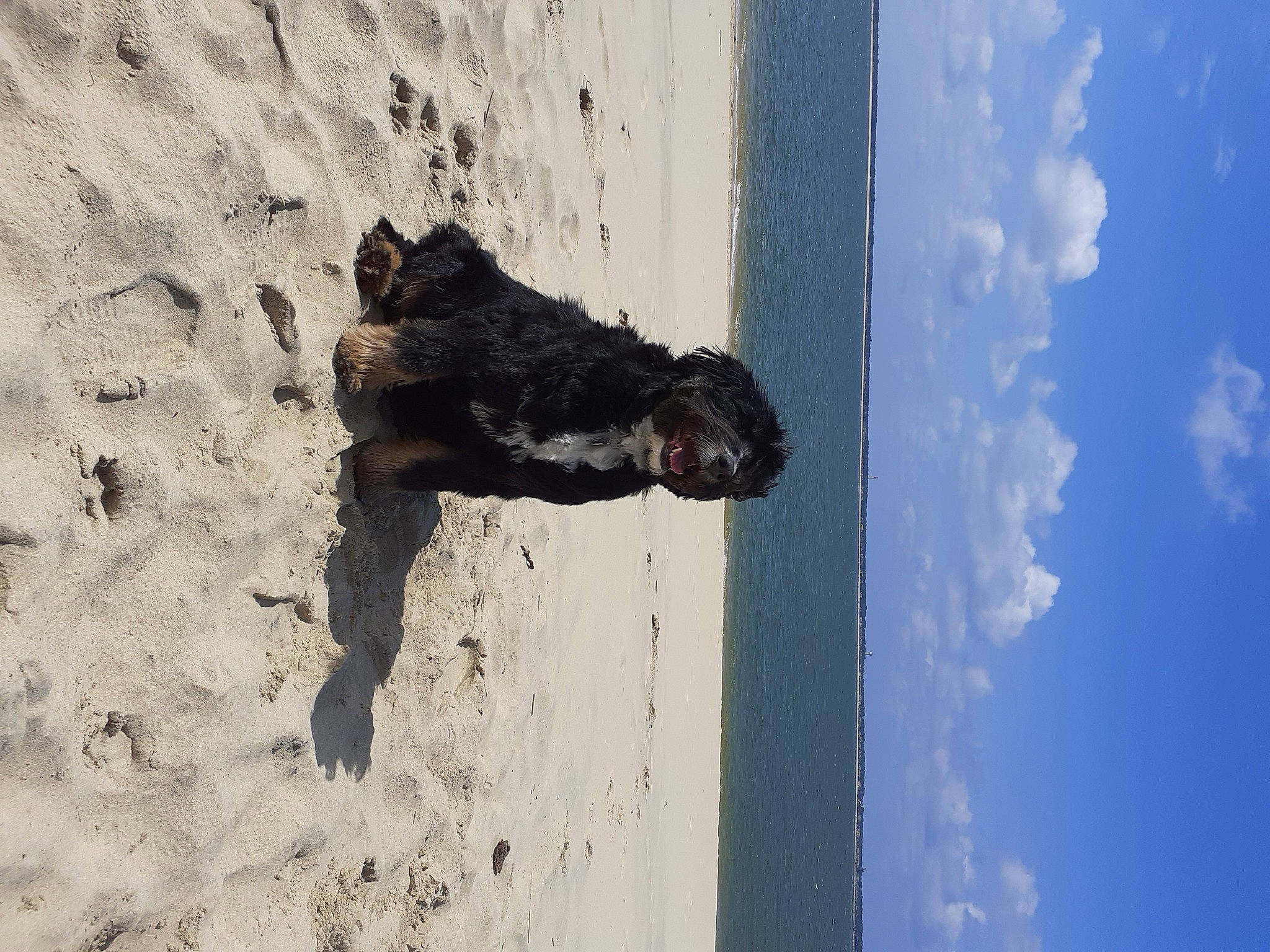 Belle a rejoint le concours — aidez-le/la à gagner de superbes lots ! beach, cloud, coast, cumulus, lake, landscape, ocean, plant, reflection, rock, sculpture, sea, shadow, sky, sporting_group, tree, trunk, water, winter, wood