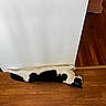 cat, black_and_white, stretched, floor, wooden_floor, wall, indoor, pet, animal, relaxed, lying_down, funny_pose, home, domestic_cat, sleeping, long_body, quiet, resting, cute, fur
