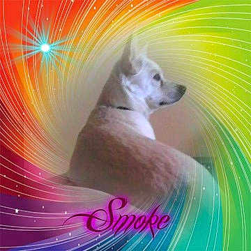 Smokey