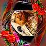 animal, blurry, brown_and_white, close_up, colorful, decorative, digital_art, dog, edited_photo, face, floral_frame, flowers, leaves, ornamental, outdoor_theme, pet, portrait, roses, small_dog, vintage_style