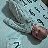 Harley is registered to the contest to win money with this photo: baby, infant, blanket, onesie, paw_prints, milestone_card, numbers, letters, lying_down, indoor, floor, soft_texture, child, young_baby, portrait, cute, calm, curious, clothing, person