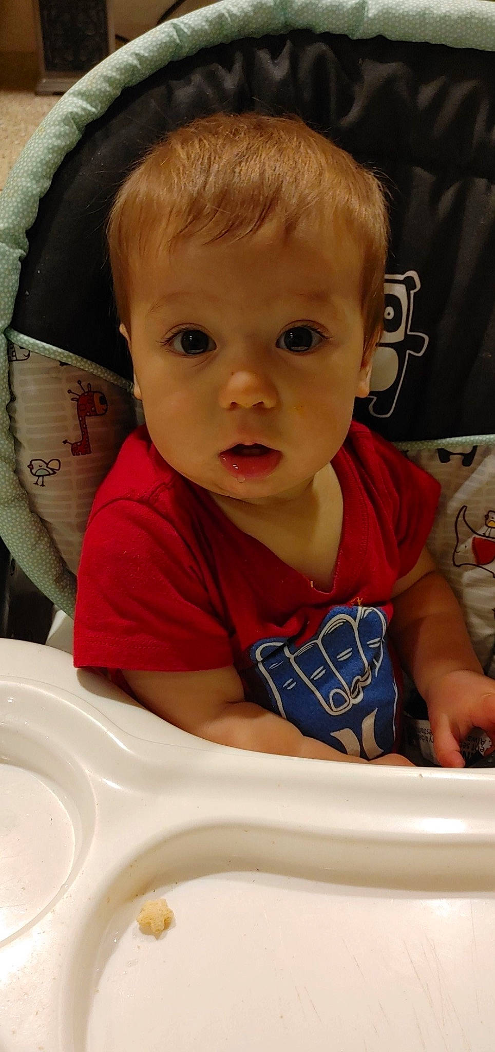 Kreed joined the competition — help win amazing prizes! baby, baby_toddler_clothing, ceramic, cheek, child, curious, ear, eye, eyelash, forehead, iris, lip, mouth, nose, person, plastic, porcelain, toddler, toilet