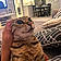Lola