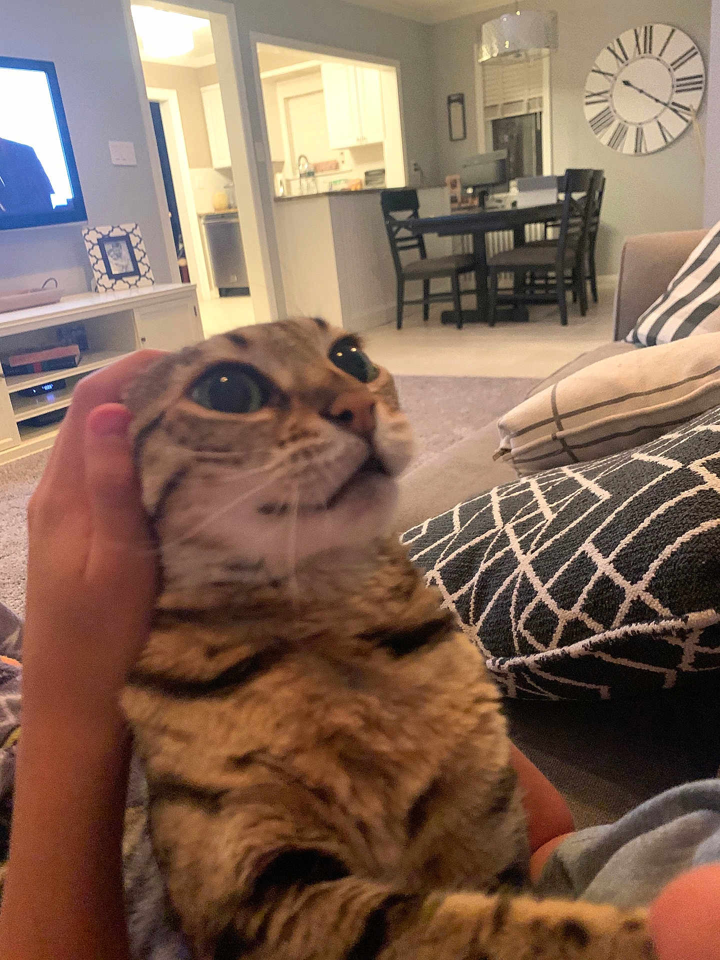 Lola