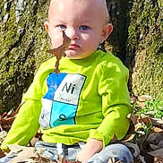 Cain is registered to the contest to win money with this photo: child, baby, toddler, face, blue_eyes, leaf_on_face, green_shirt, periodic_table_design, tree_trunk, autumn_leaves, sitting, outdoors, grass, shoes, serious_expression, ears, bark, nature, sunlight, portrait