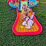 backyard, bowling_pins, child, curly_hair, daylight, fun, grass, happy, inflatable, inflatable_toy, outdoor, play, recreation, shorts, splash, summer, toddler, toy, water_slide, yellow_shirt