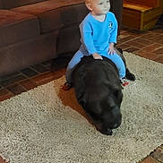 Mia is registered to the contest to win money with this photo: toddler, child, dog, black_dog, pet, rug, carpet, couch, sofa, wooden_stairs, brick_floor, indoor, living_room, blue_pajamas, sitting, playing, large_dog, cozy, wood_paneling, family