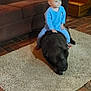 toddler, child, dog, black_dog, pet, rug, carpet, couch, sofa, wooden_stairs, brick_floor, indoor, living_room, blue_pajamas, sitting, playing, large_dog, cozy, wood_paneling, family