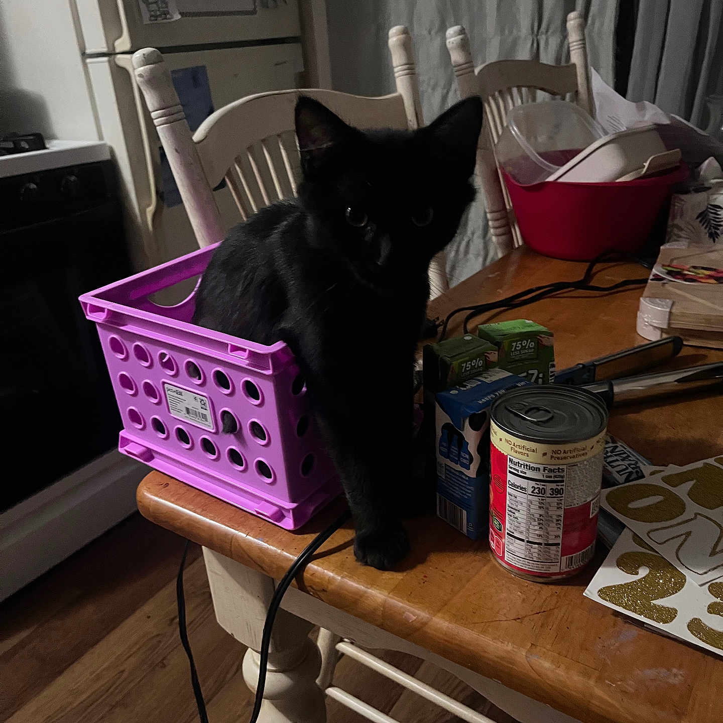 Lani joined the competition — help win amazing prizes! black_cat, can, carton, cat, chair, container, cord, curtain, dim_lighting, feline, floor, household_items, indoor, kitchen, pet, plastic_basket, refrigerator, stove, table, wooden_table