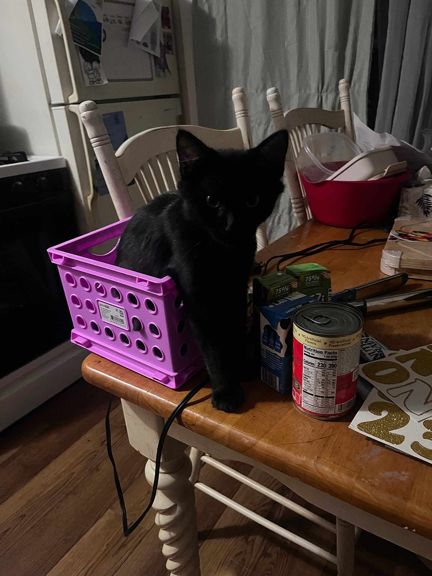 Lani joined the competition — help win amazing prizes! black_cat, cat, plastic_basket, table, wooden_table, kitchen, chair, can, carton, household_items, curtain, refrigerator, stove, floor, cord, container, dim_lighting, indoor, pet, feline