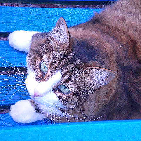 Tino a rejoint le concours — aidez-le/la à gagner de superbes lots !