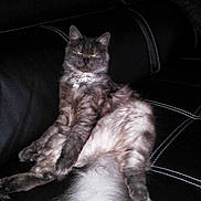 Nelly participe au concours pour gagner de l'argent avec cette photo :