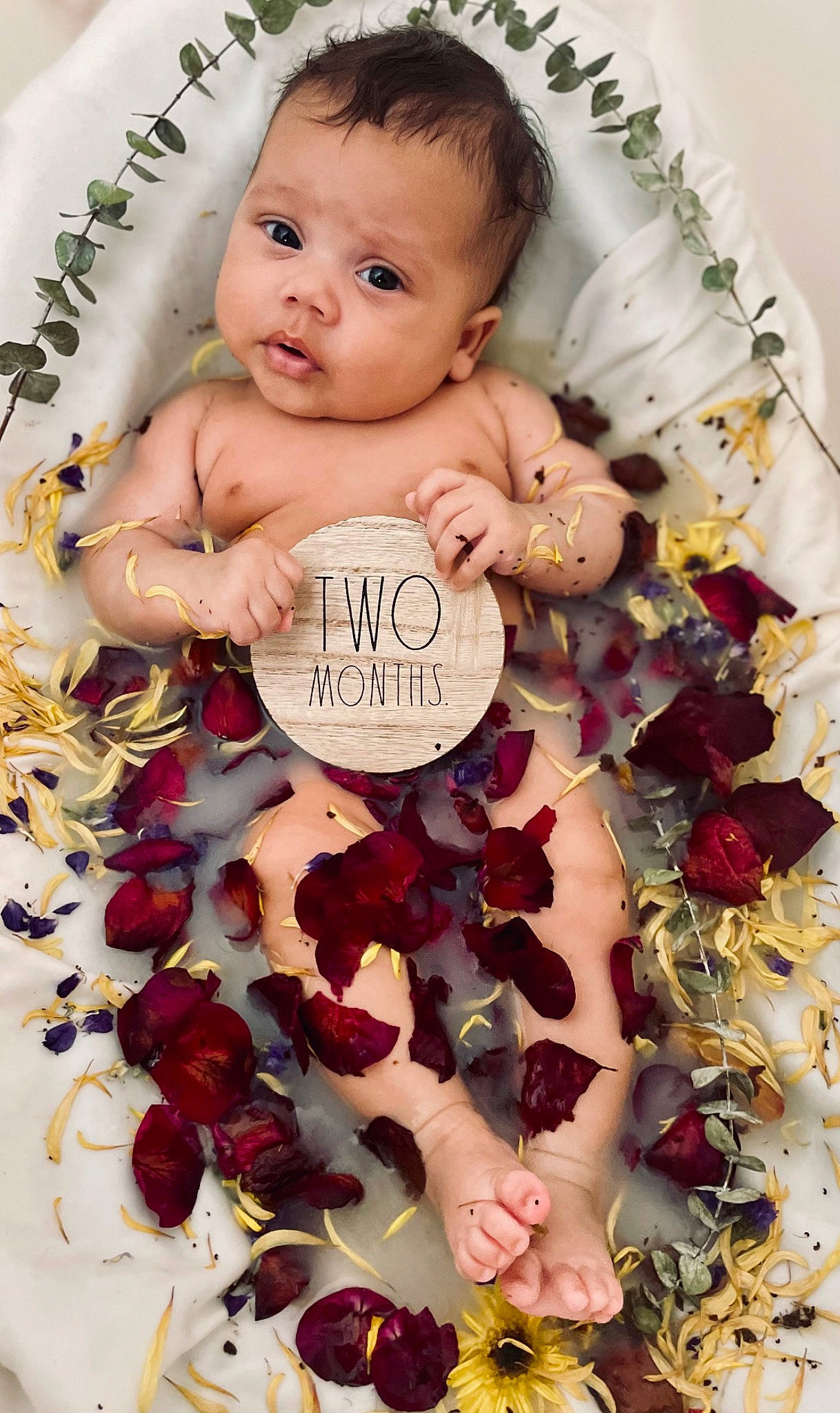 Sol Grace is registered to the contest to win money with this photo: baby, baby_toddler_clothing, beauty, child, font, happy, illustration, nail, natural_foods, pattern, person, petal, photo_caption, pink, poster, product, recipe, rose, sweetness, toddler