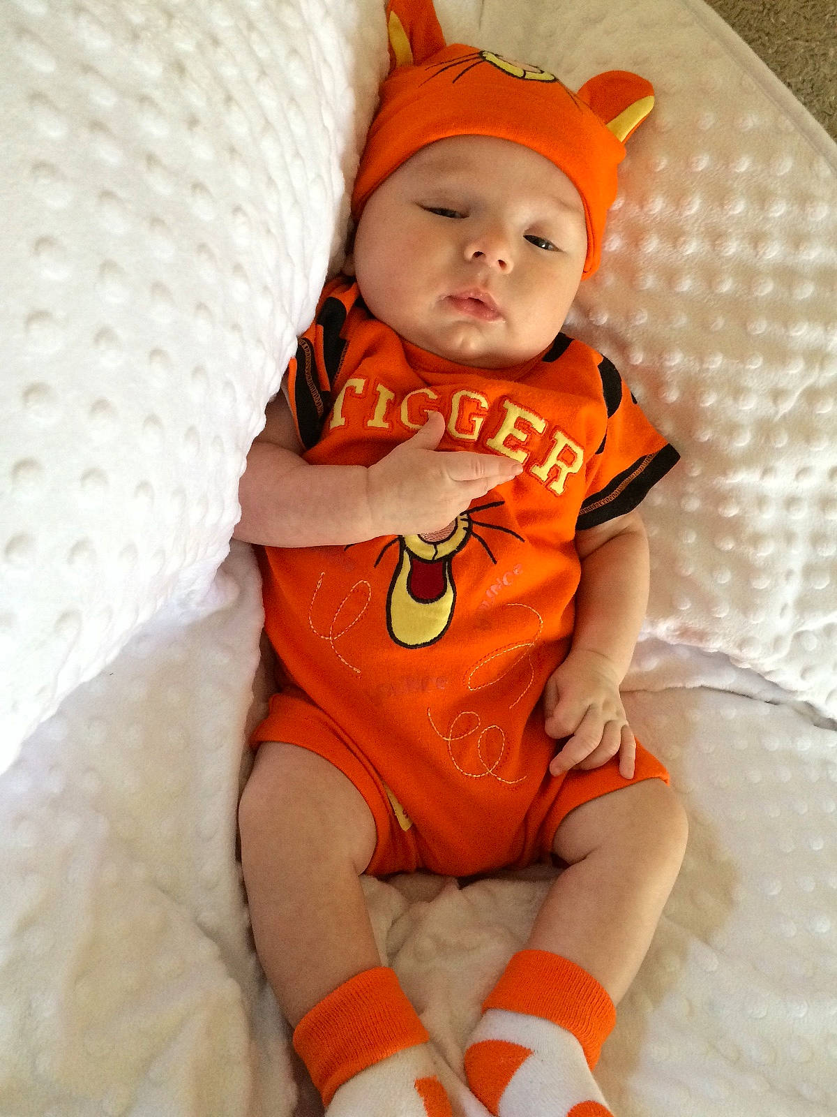 Alfie is registered to the contest to win money with this photo: