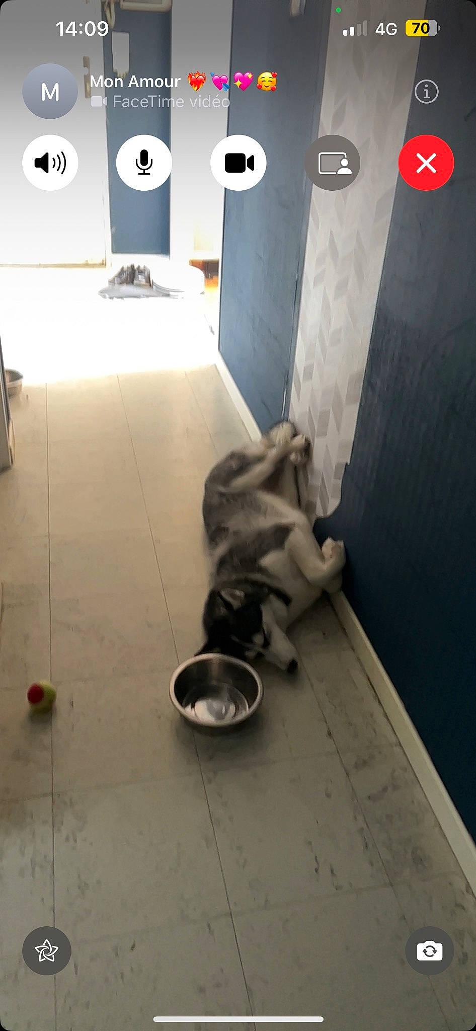 Tokyo a rejoint le concours — aidez-le/la à gagner de superbes lots ! boot, concrete, floor, flooring, font, gas, hardwood, human_leg, metal, room, sitting, tile, toilet, wood