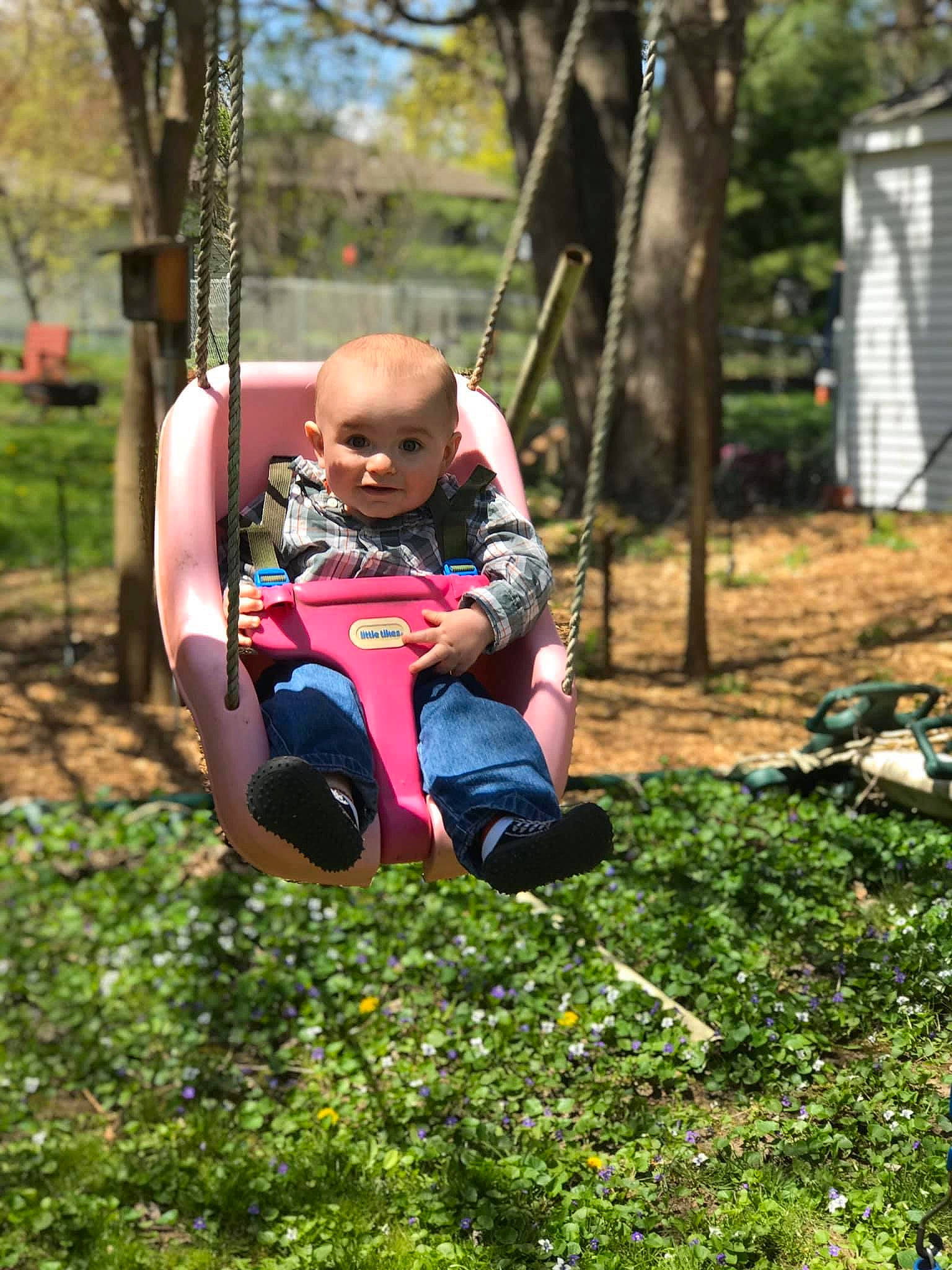 Huxley is registered to the contest to win money with this photo: child, fun, grass, leaf, leisure, outdoor_play_equipment, person, plant, play, playground, spring, swing, toddler, tree, vacation, yard