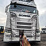 dog, belgian_malinois, truck, scania, vehicle, leash, outdoor, sky, cloudy, road, parking_lot, industrial, headlights, license_plate, metal, grill, large_vehicle, canine, sitting, daytime