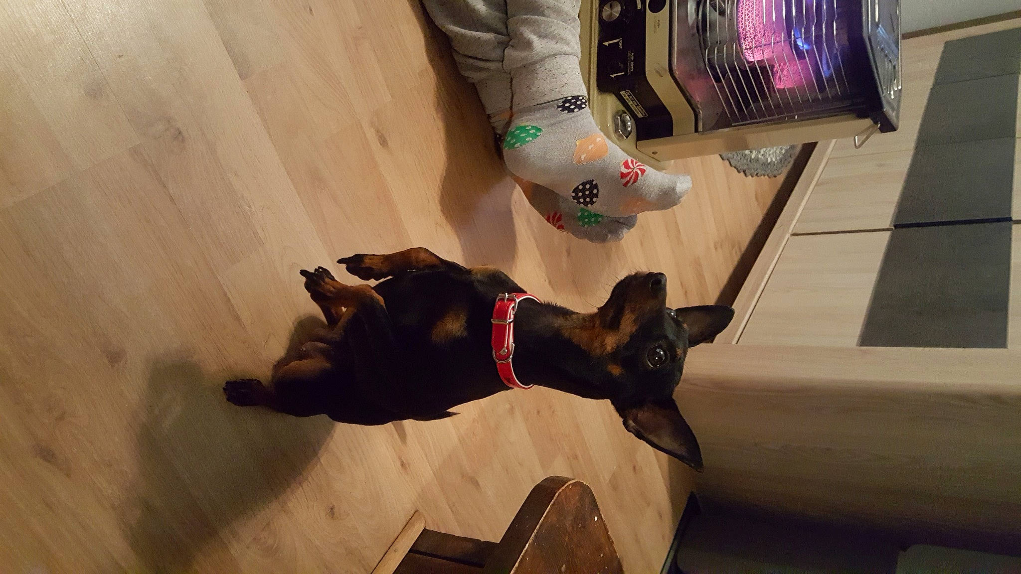 Kika