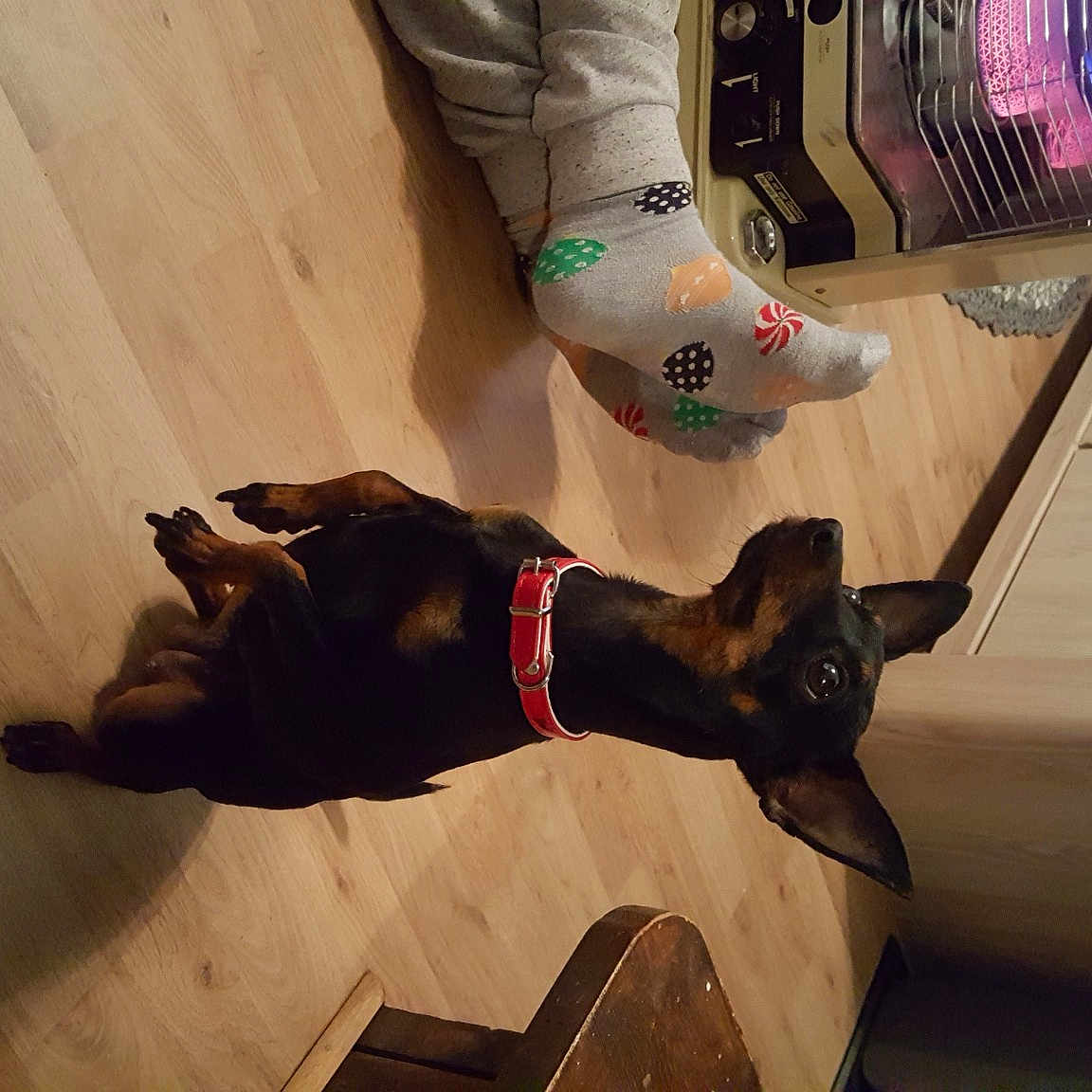 Kika