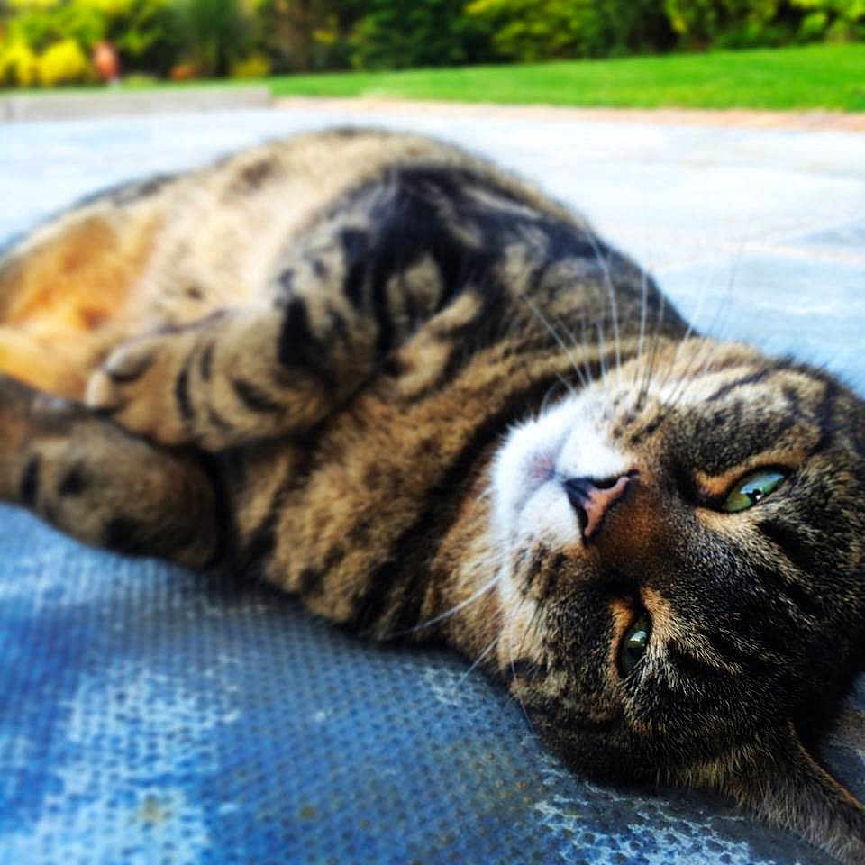 Toby joined the competition — help win amazing prizes!