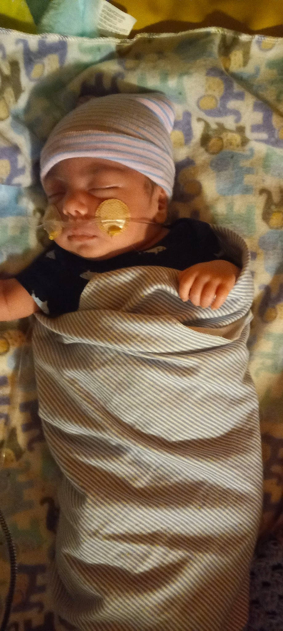 Atreus is registered to the contest to win money with this photo: baby, baby_toddler_clothing, beanie, cap, cheek, child, comfort, elbow, hat, headwear, knit_cap, linens, pattern, person, sitting, sleeve, thumb, toddler, tree, wood