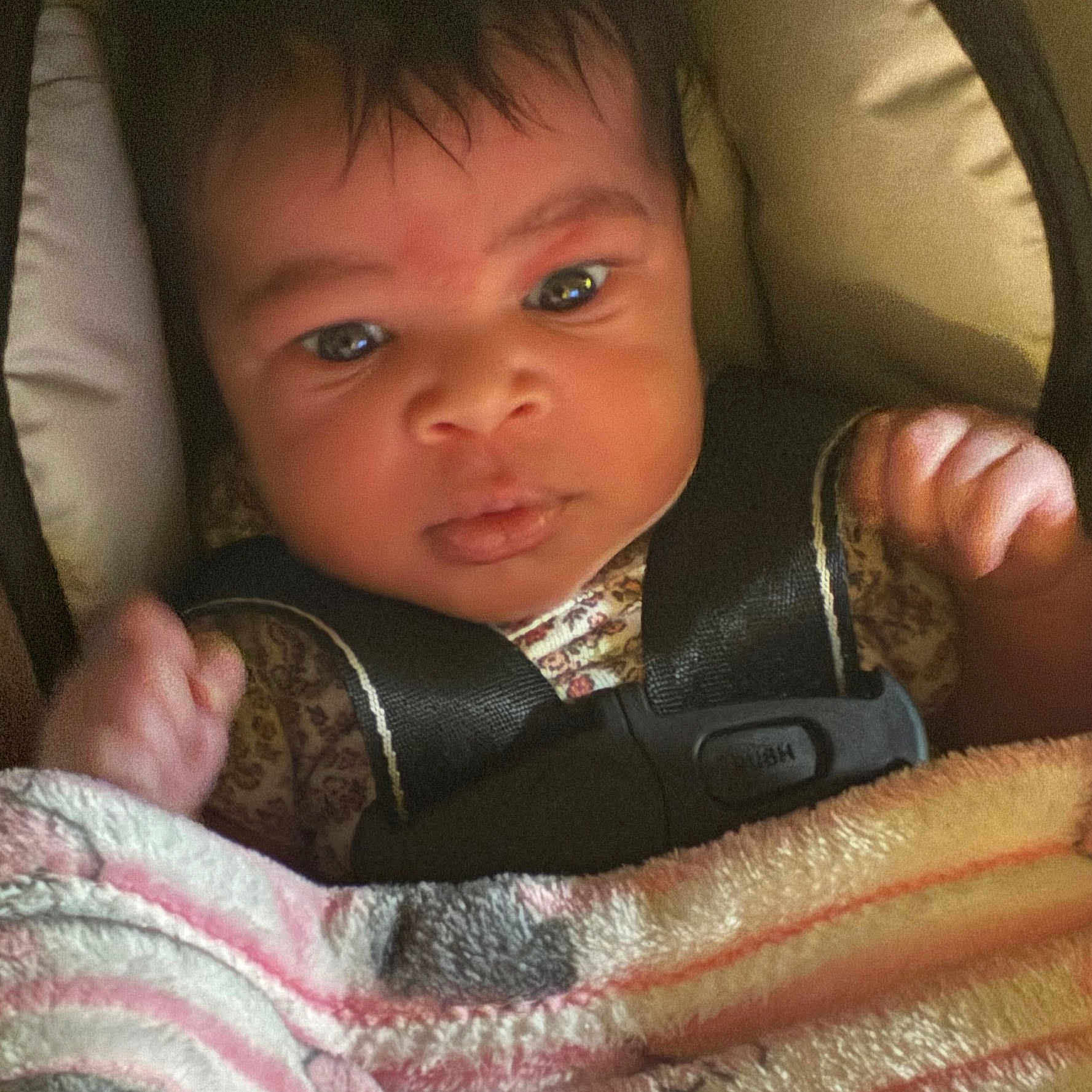 Aria is registered to the contest to win money with this photo: baby, infant, car_seat, blanket, face, child, clothing, person, seatbelt, closeup, indoor, safety_harness, cute, portrait, expression, hands, newborn, young_child, resting, attention