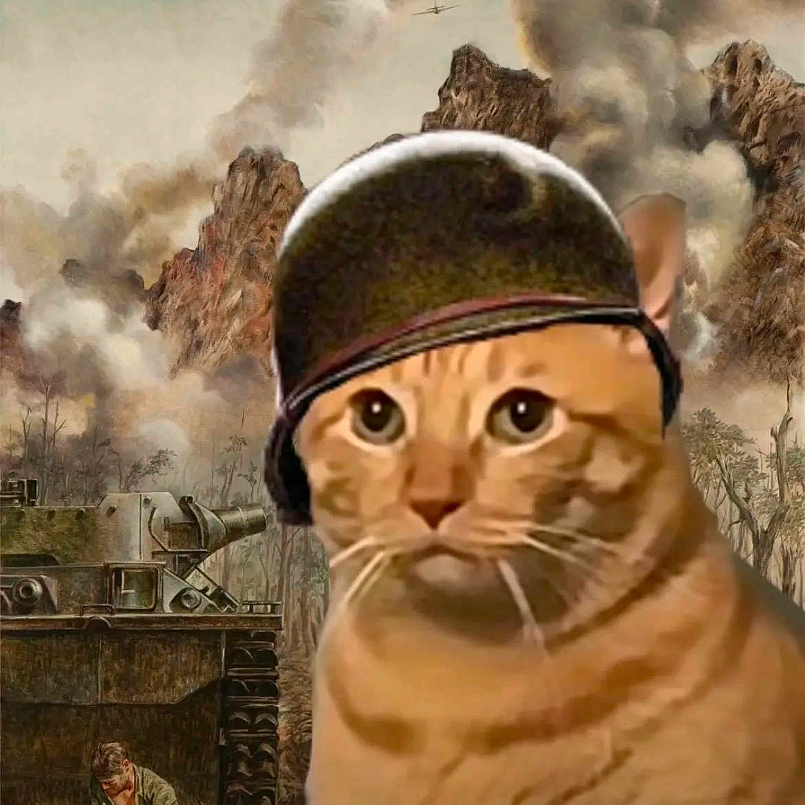 Dickens is registered to the contest to win money with this photo: cat, helmet, war_scene, tank, soldier, planes, mountains, smoke, orange_cat, digital_edit, military, battlefield, animal, helmeted_cat, background, dramatic, camouflage, artificial, conflict, vintage_style