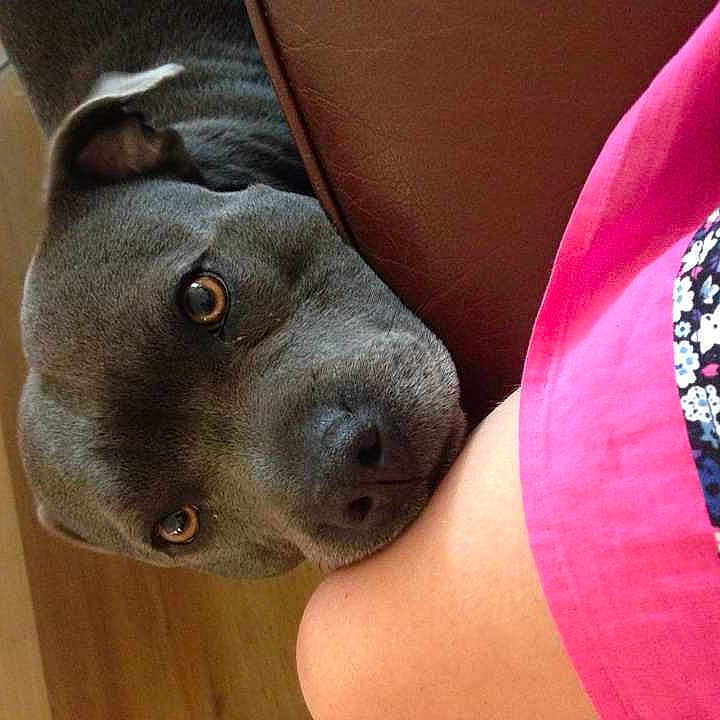 Lilly