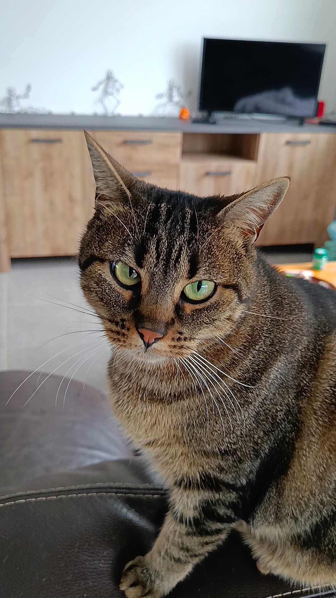 Kiki