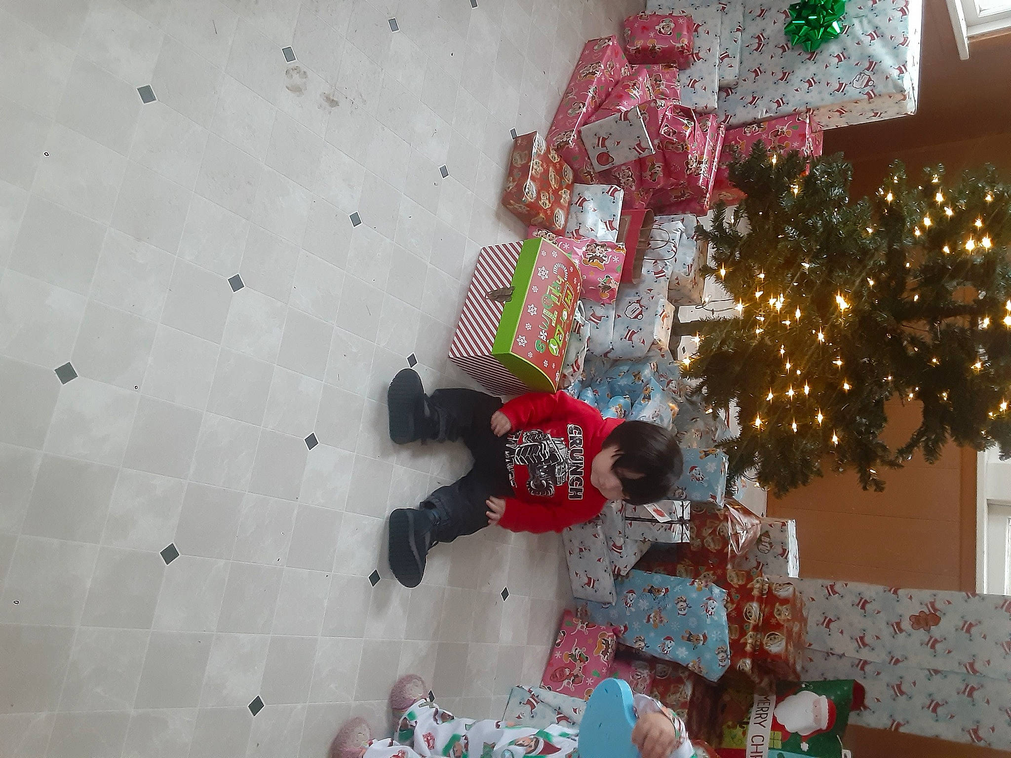 Mateo is registered to the contest to win money with this photo: carmine, christmas, christmas_decoration, christmas_eve, christmas_ornament, christmas_tree, conifer, event, fun, holiday, holiday_ornament, interior_design, leisure, ornament, person, plant, room, tradition, tree, winter