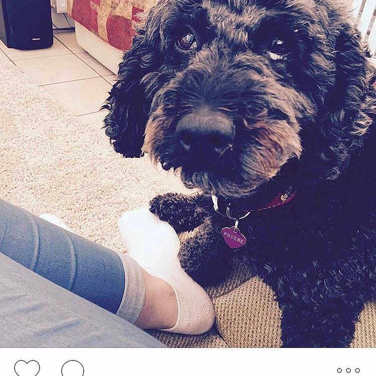 Phoebe is registered to the contest to win money with this photo: