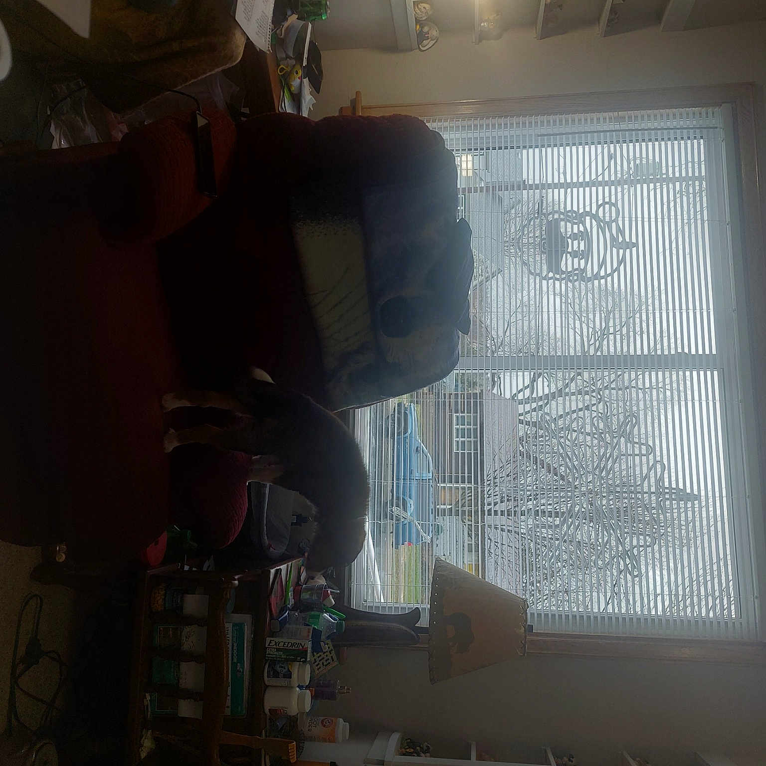Honey Rae Gillingham is registered to the contest to win money with this photo: building, ceiling, electrical_wiring, glass, machine, room, shade, shadow, tints_and_shades, transparent_material, window, window_covering, window_treatment, wood