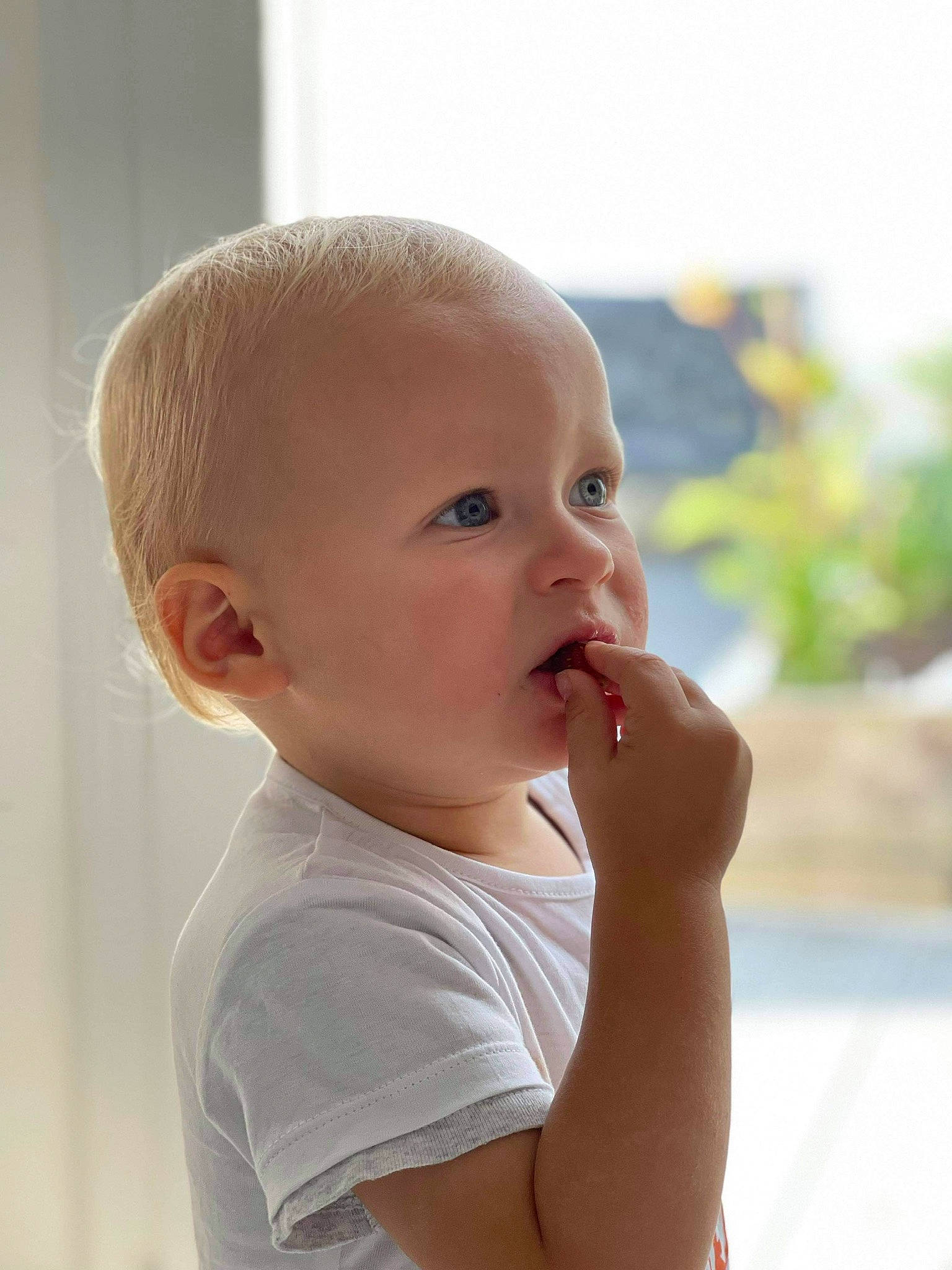 Owen participe au concours pour gagner de l'argent avec cette photo : baby, baby_toddler_clothing, cheek, chest, child, ear, eye, eyelash, fun, happy, iris, lip, neck, nose, person, portrait_photography, sitting, sleeve, t_shirt, thumb