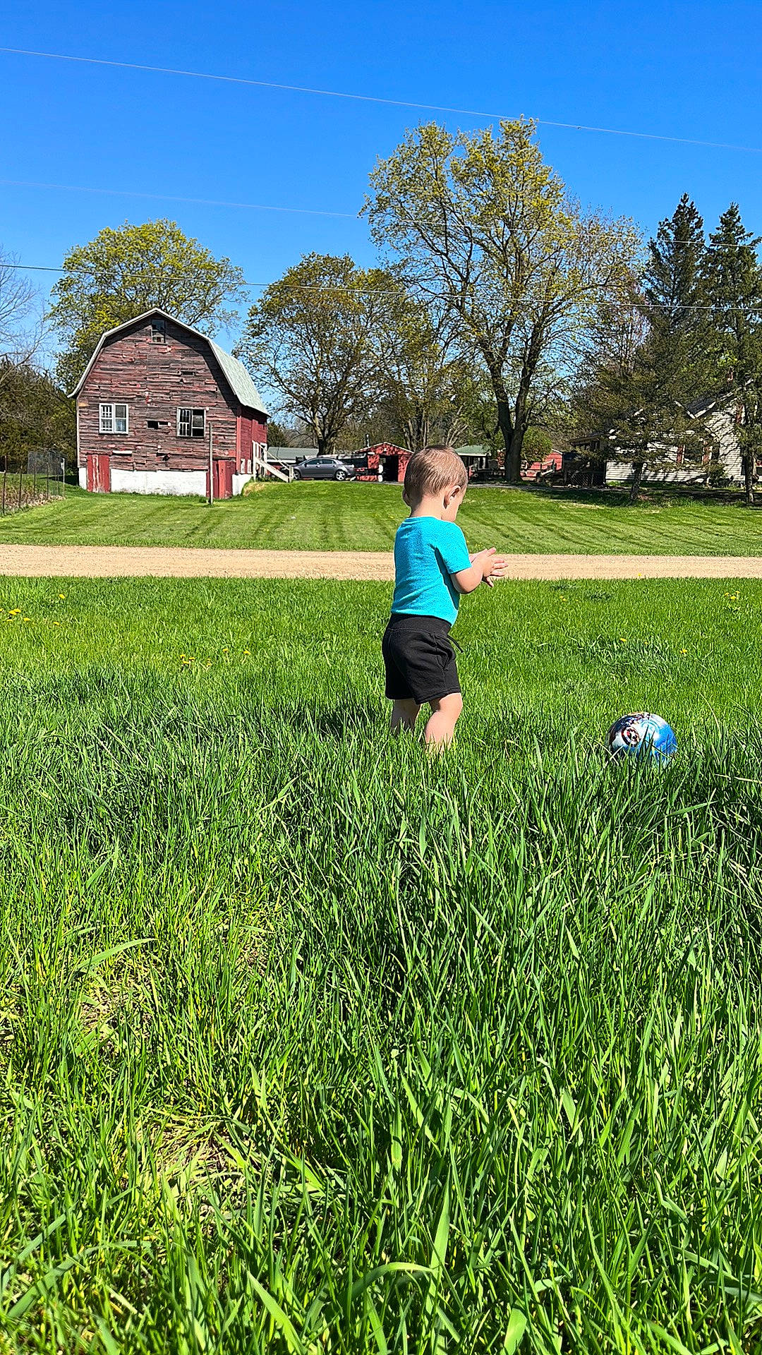 Deven joined the competition — help win amazing prizes! agriculture, grass, grass_family, grassland, happy, land_lot, landscape, leaf, leisure, meadow, morning, natural_landscape, nature, people_in_nature, person, plain, plant, rural_area, sky, sunlight