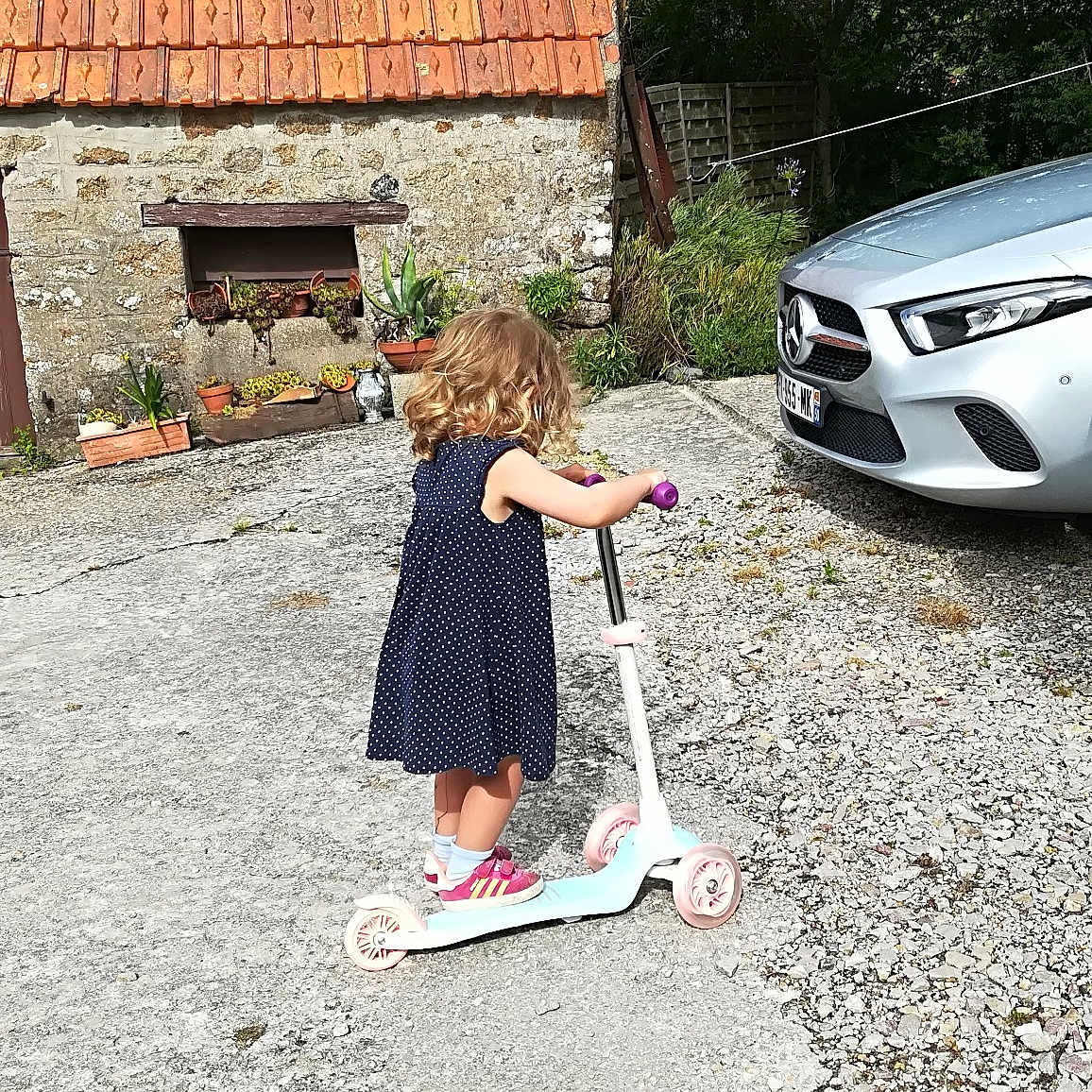 Nora