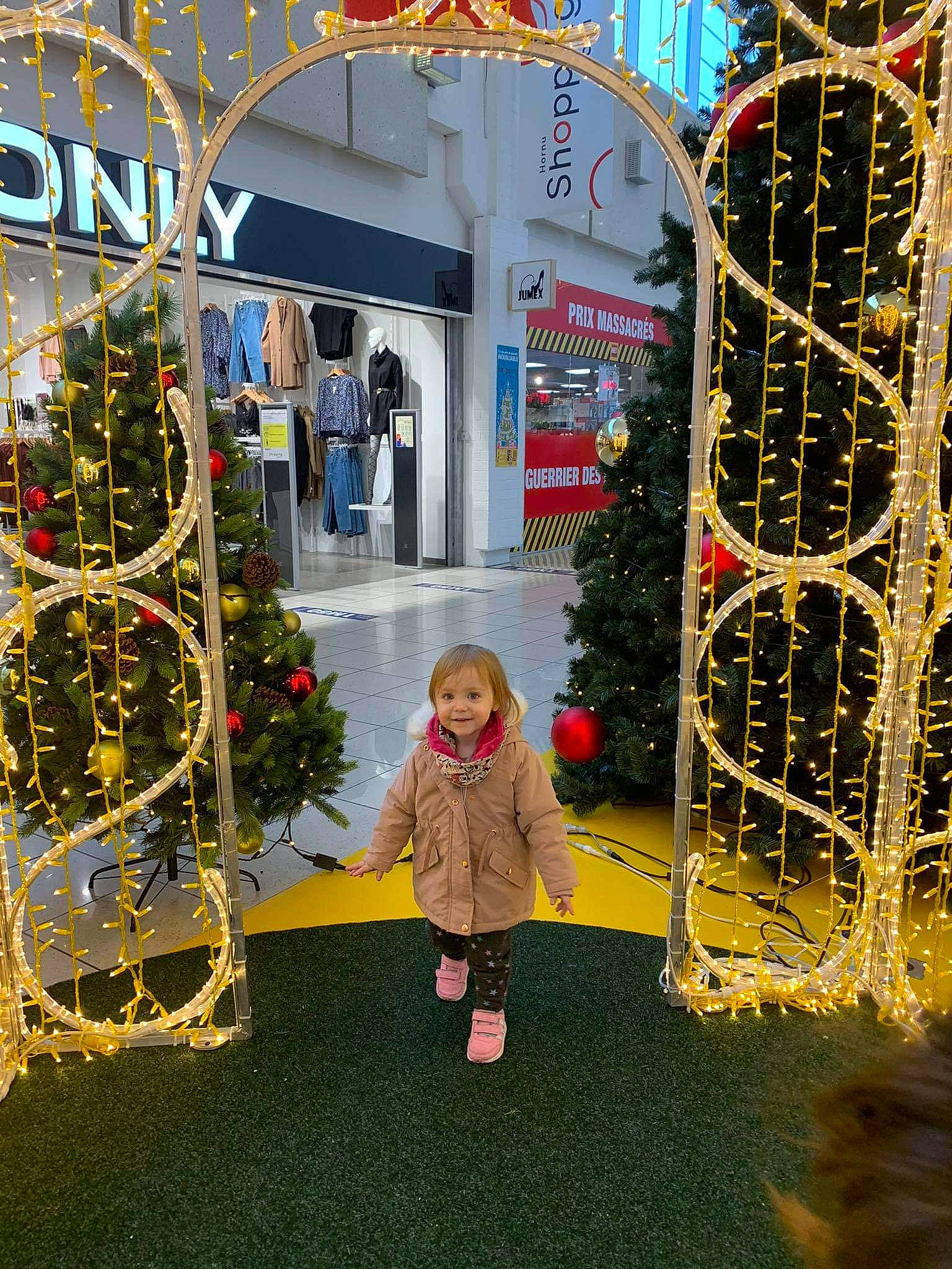 Angiuli participe au concours pour gagner de l'argent avec cette photo : arch, christmas, christmas_decoration, christmas_eve, christmas_lights, christmas_ornament, christmas_tree, conifer, decoration, evergreen, fir, holiday, holiday_ornament, interior_design, joy, ornament, person, pine, pine_family, silvertip_fir