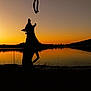 animal, dog, evening, grass, jumping, lake, landscape, nature, outdoor, peaceful, playful, reflection, ring, scenic, shadow, silhouette, sky, sunset, twilight, water