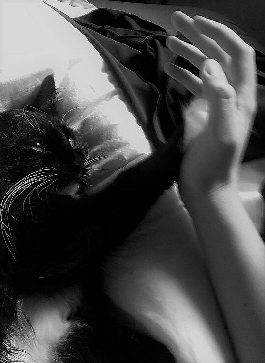 Millow a rejoint le concours — aidez-le/la à gagner de superbes lots ! arm, beauty, black, black_and_white, cat, ear, eye, hand, joint, leg, lip, long_hair, monochrome, monochrome_photography, mouth, neck, photography, shoulder, whiskers, white