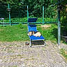 dog, lounge_chair, outdoor, garden, grass, sunlight, fence, greenery, relaxing, pet, canine, summer, nature, daytime, leisure, animal, resting, blue, sunny, backyard