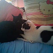 Merlin Et Youckie a rejoint le concours — aidez-le/la à gagner de superbes lots !